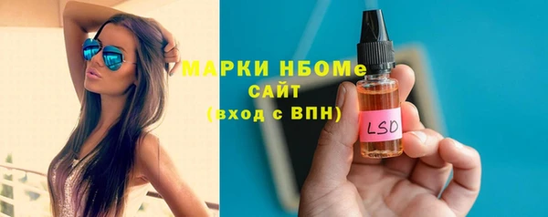шишки Алексин