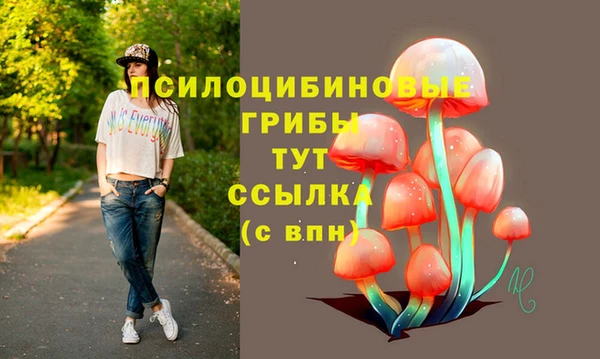шишки Алексин