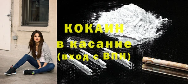 шишки Алексин